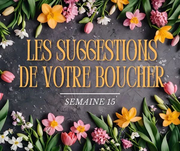 Nos suggestions semaine 15